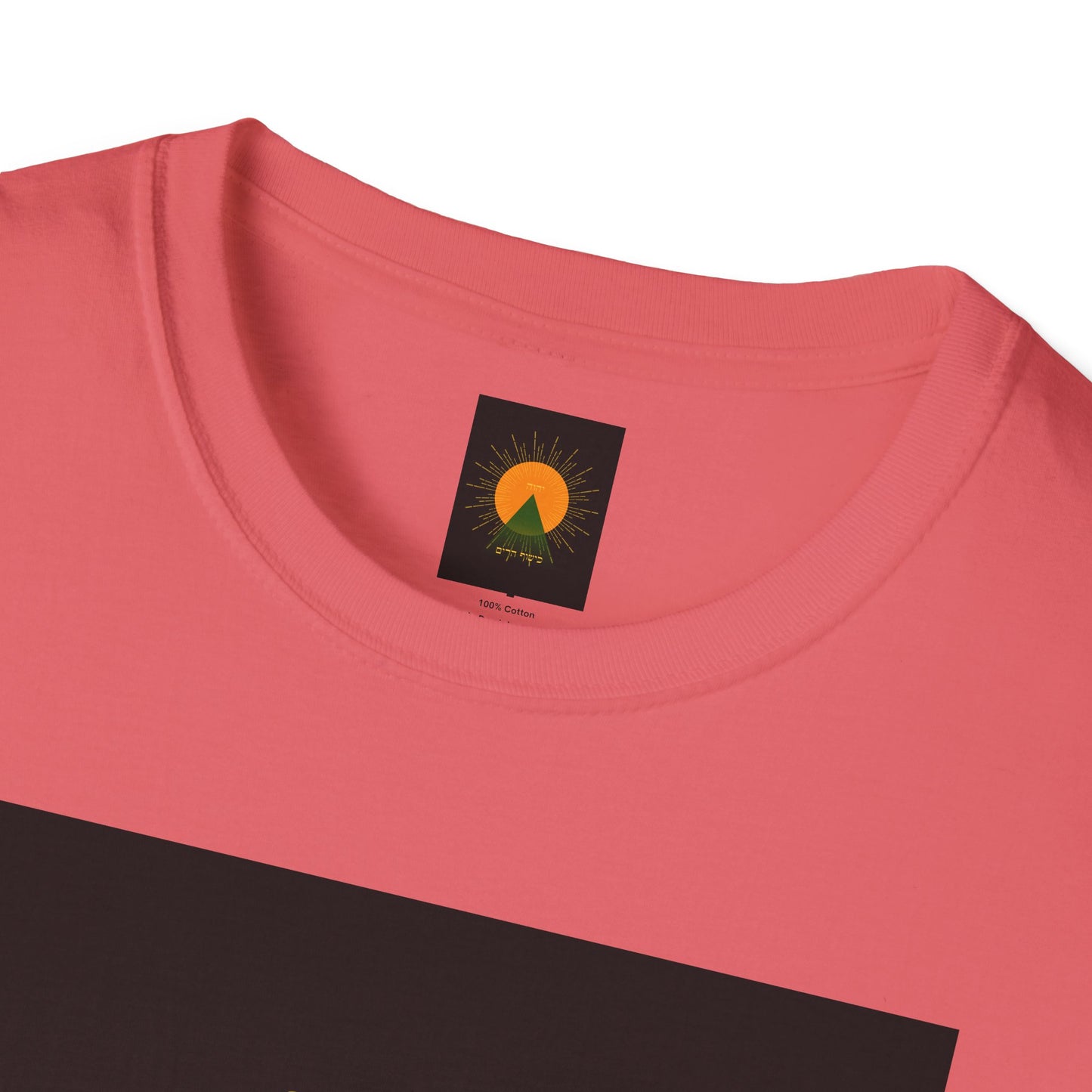 Mountain Conjure Logo Unisex Softstyle T-Shirt