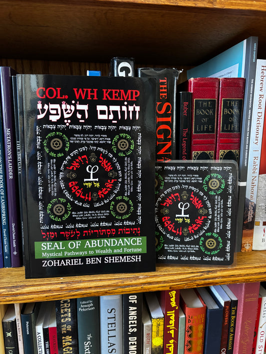 The Seal of Abundance: Mystical Pathways to Wealth and Fortune Booklet and Amulet Set