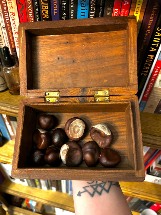 One Lucky Buckeye Fixed with Hoyt’s Cologne for Luck, Success in Business, and Steady Work